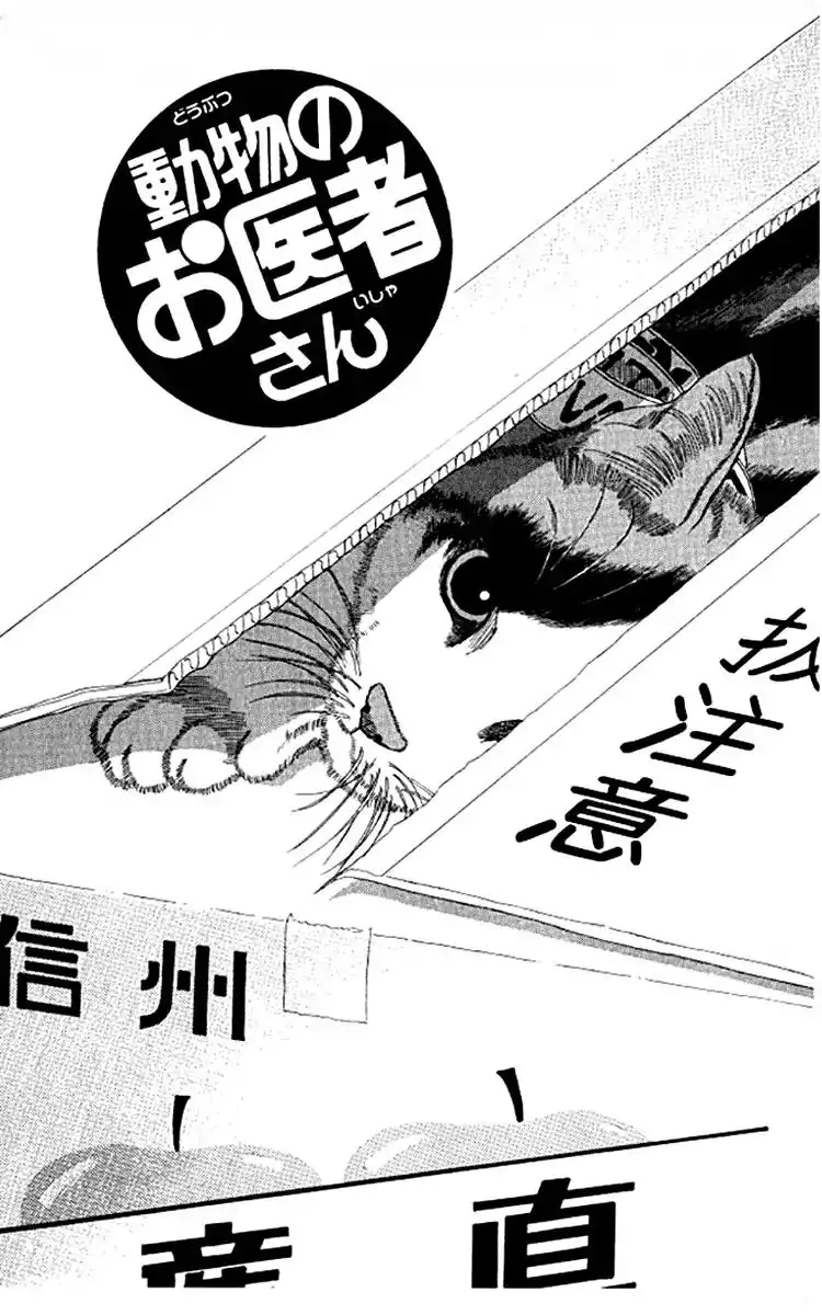 Doubutsu no Oishasan Chapter 92 2